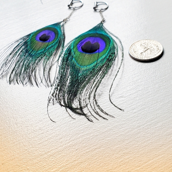 Beautiful peacock 10 gauge earrings - Picture 2 of 4